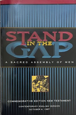 Stand In the Gap