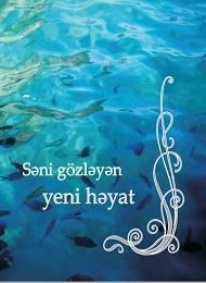 Səni Gözləyən Yeni Həyat (Mass Market Paperback)