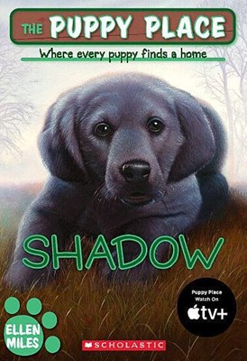 The Puppy Place, Shadow