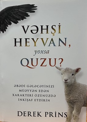 Vəhşi heyvan, yoxsa Quzu?