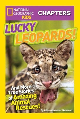 Lucky Leopards (Paperback)