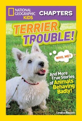 Terrier Trouble! (Paperback)