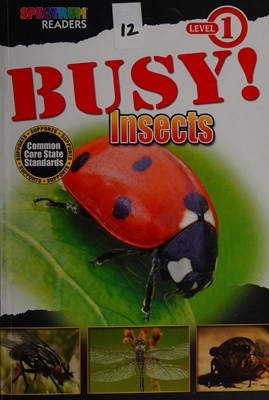 Busy Insects