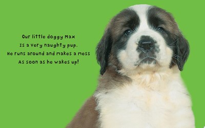 Bright Baby Touch & Feel Perfect Pets