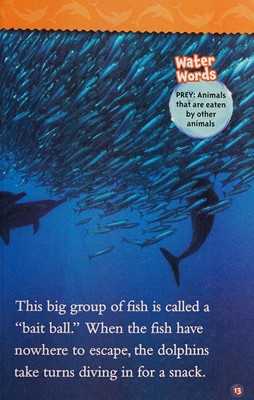 Dolphins