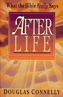 After Life (Paperback)
