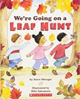 Autumn's First Leaf (Paperback)