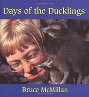 Days of the Ducklings (Hardcover)