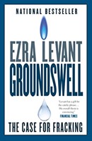 Groundswell (Paperback)