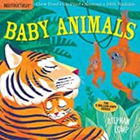 Indestructibles: Baby Animals (Paperback)