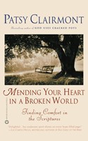 Mending Your Heart In a Broken World (Paperback)