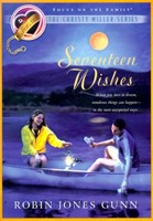 Seventeen Wishes (Paperback)