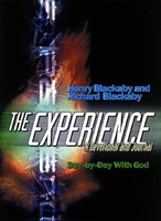 Experience, The (Hardcover)