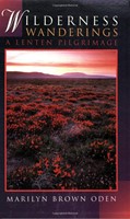 Wilderness Wanderings (Paperback)