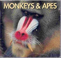 Monkeys and Apes (Paperback)