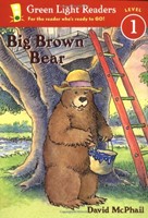 Big Brown Bear (Paperback)
