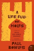 Life Full of Holes, A (Hardcover)