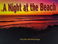 A Night at the Beach