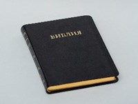 Библия (Board Book)