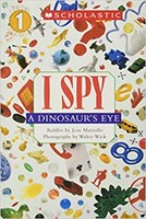 I Spy a Dinosaur's Eye (Paperback)
