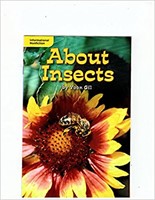 About Insects (Paperback)