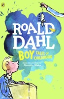 Boy (Paperback)