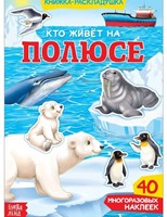 Кто живет на полюсе (Paperback)