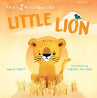 Little Lion (Hardcover)