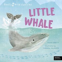 Little Whale (Hardcover)