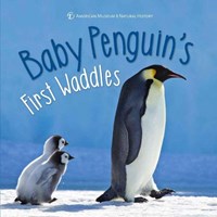 Baby Penguin's First Waddles (Hardcover)
