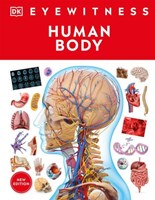 DK Human Body (Hardcover)
