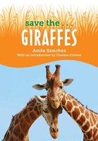 Giraffes (Paperback)