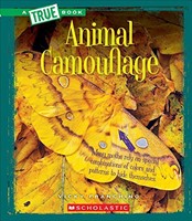 Animal Camouflage (Paperback)
