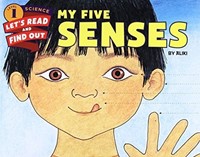 My Five Senses (Paperback)