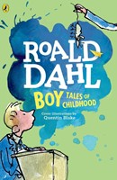 Boy Tales of Childhood (Paperback)