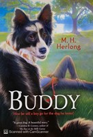 Buddy (Paperback)