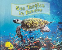 Sea Turtles in Danger
