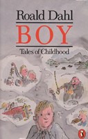 Boy (Paperback)