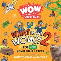 What in the WOW?! 2 250 MORE Bonkerballs Facts (Paperback)