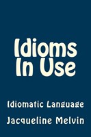 Idioms in Use English Idioms and Phrasal Verbs (Paperback)