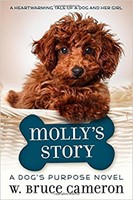 Molly's Story (Paperback)