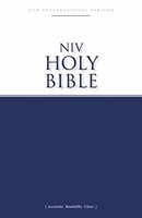 NIV Economy Bible [Blue] (Paperback)