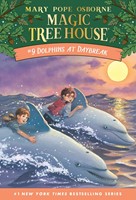 Dolphins at Daybreak (Paperback)