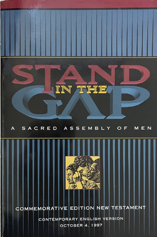 Stand In the Gap
