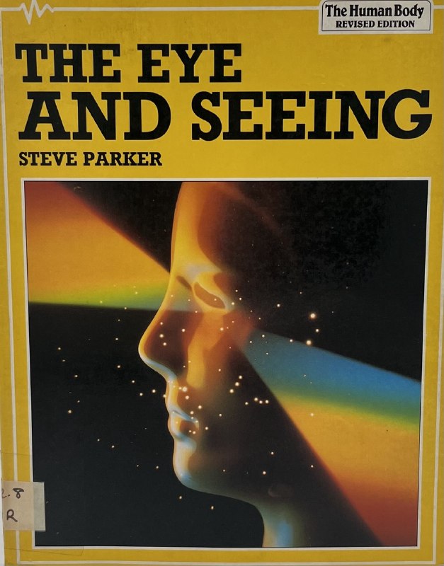 The Eye and Seeing