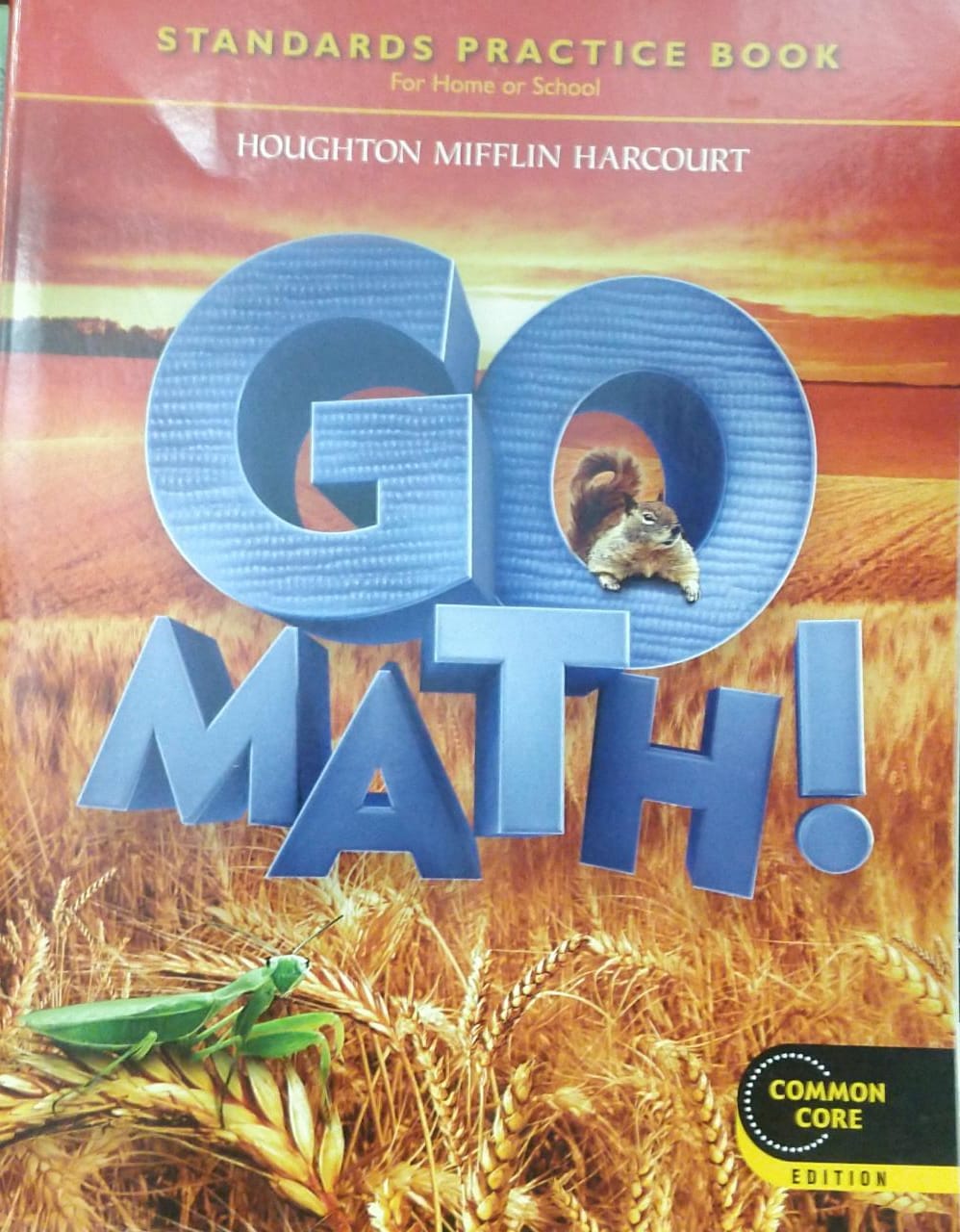 Go Math Standards Practice Book Grade 2