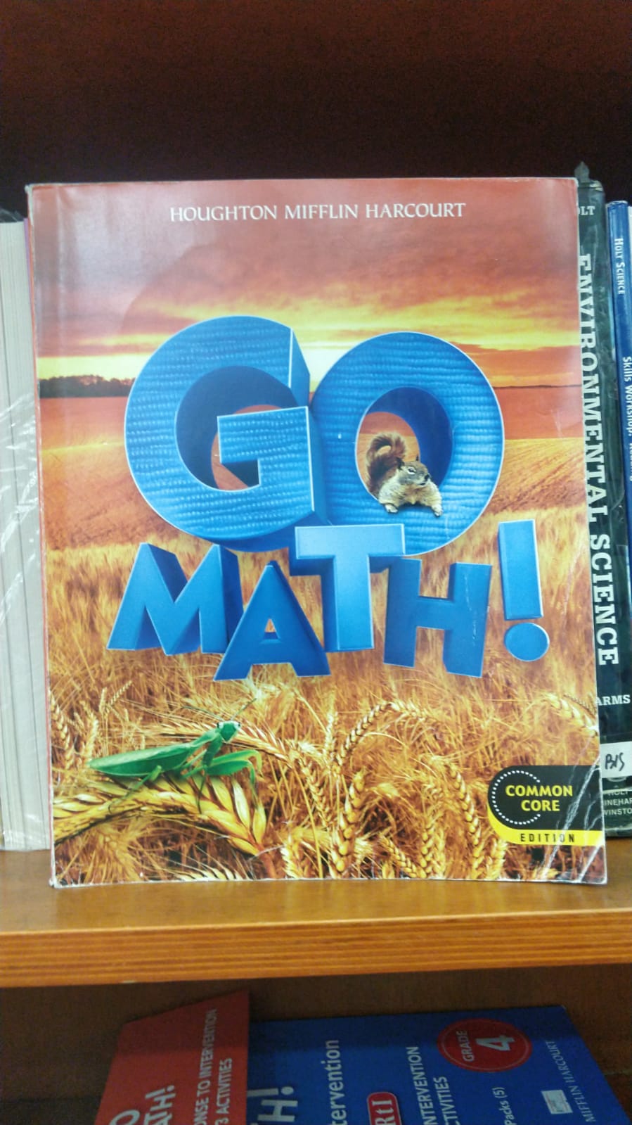Go Math Grade 2
