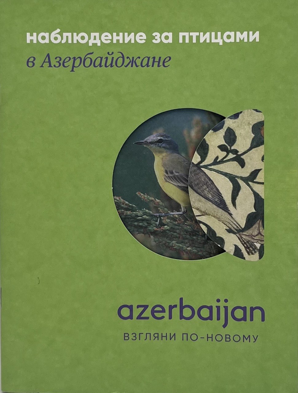 Наблюдение за птицами в Азербайджане