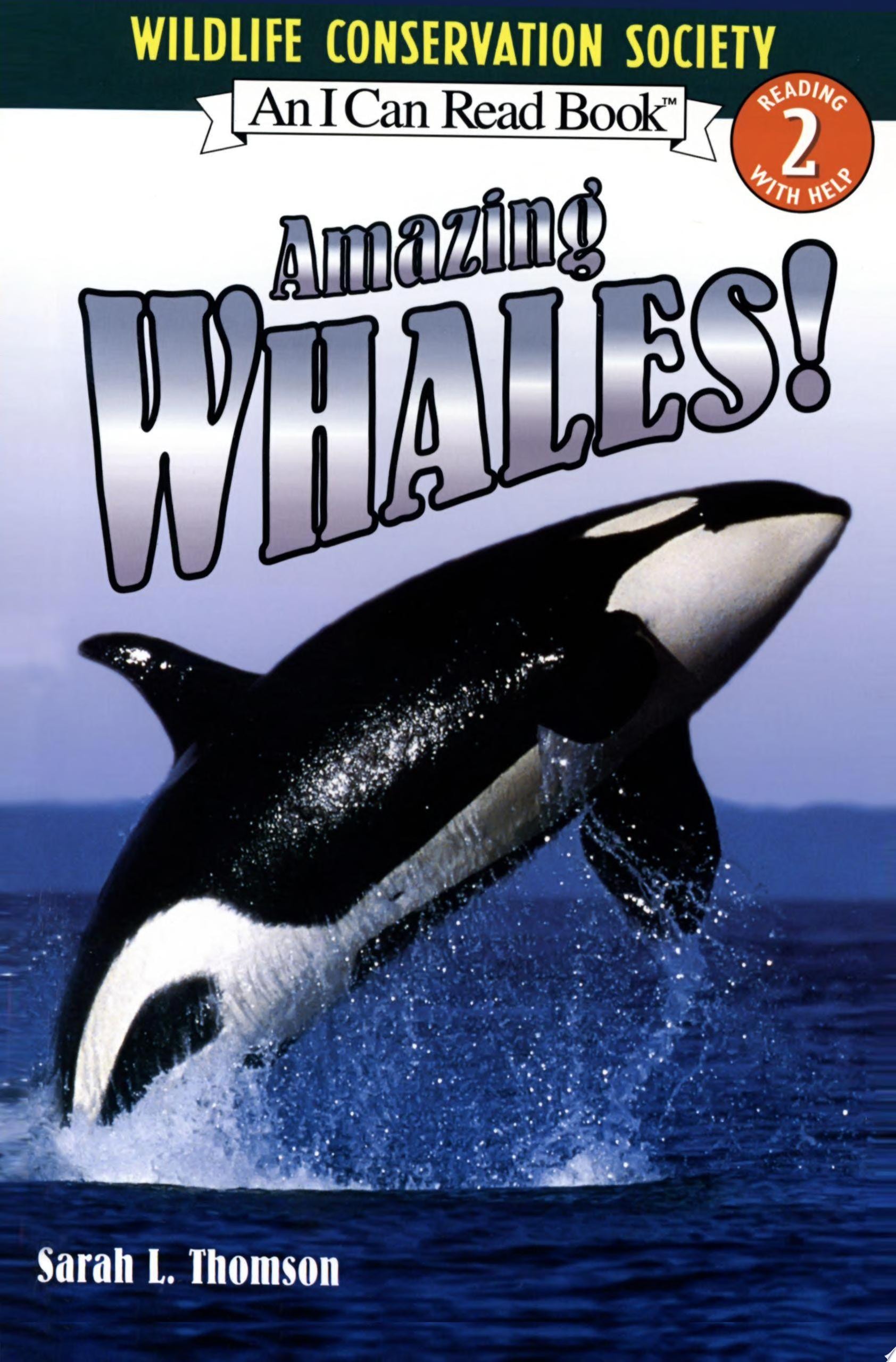 Amazing Whales!