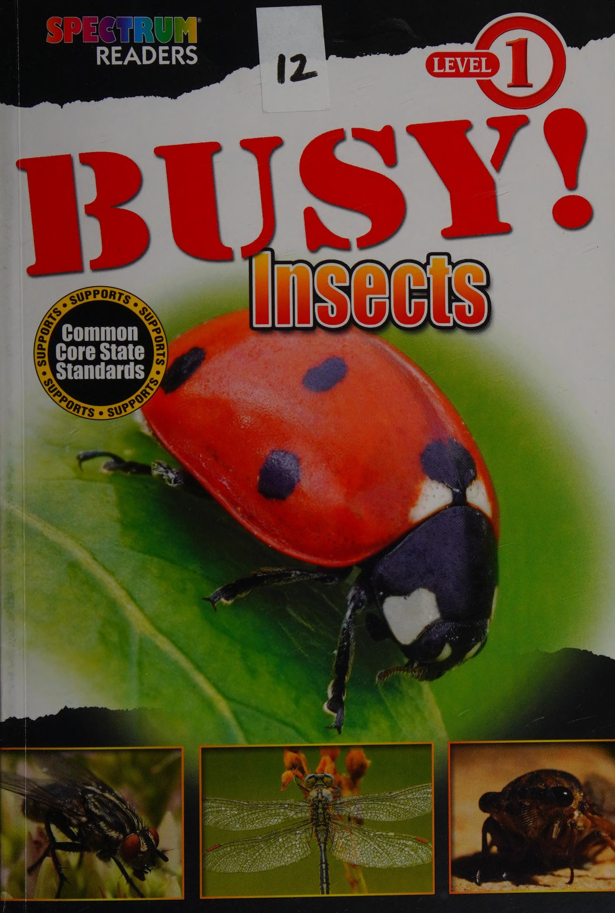 Busy Insects